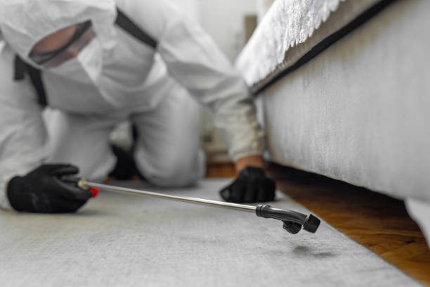 Professional Termite Control technician working in Belle, MO