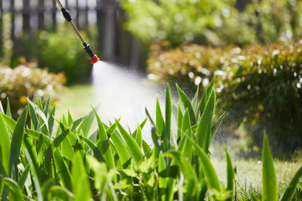24/7 Emergency Termite Control experts in Belle, MO